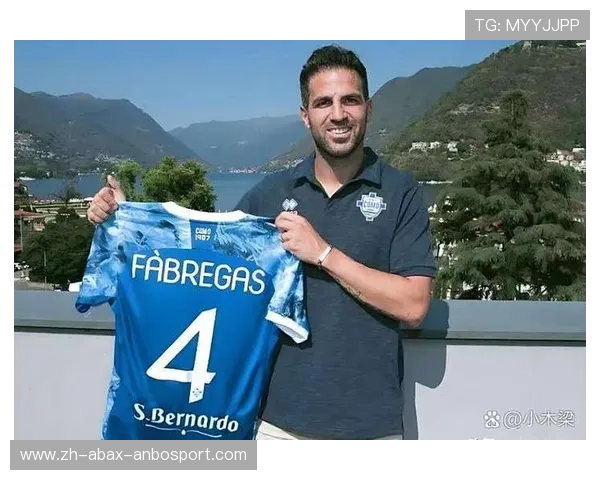 意甲禁止转会球队：揭示意甲联赛中因违规而禁止转会的球队