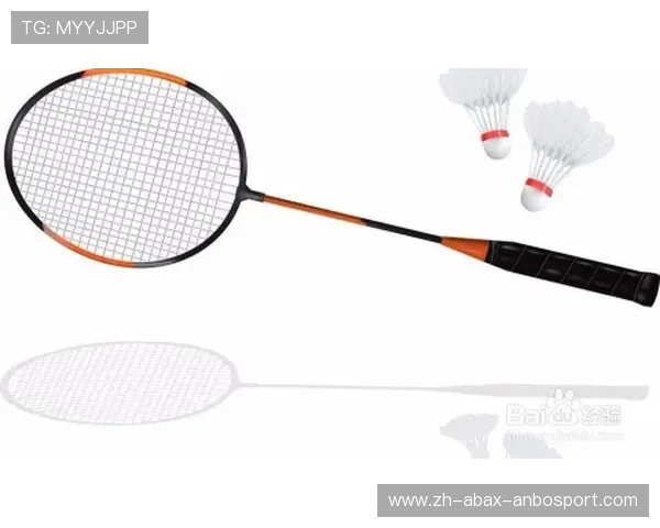 羽毛球塑料的还是羽毛的