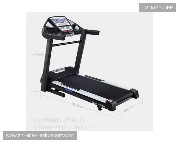 耐久性健身器材结构解析与使用寿命评估